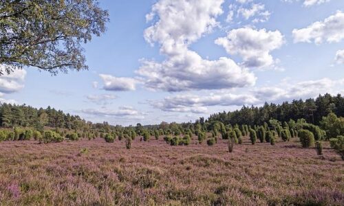 Langrenn i Norge – Gudbrandsdalen